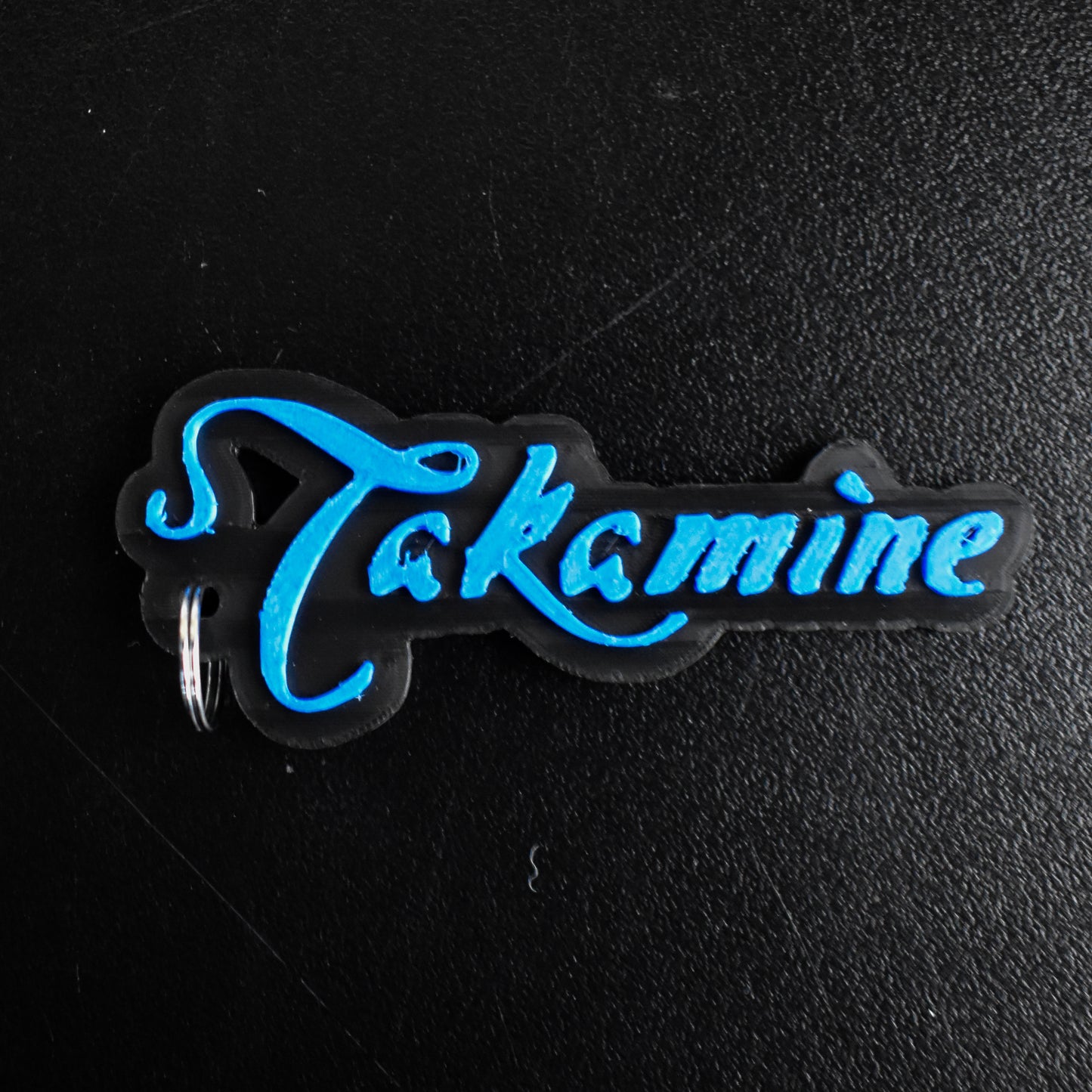 Takamine Key Chain